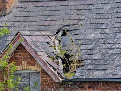 Professional commercial water damage restoration services in Hollywood - water damage restoration service